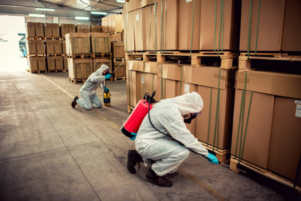 Best Affordable Pest Control Services  in Lynbrook, NY