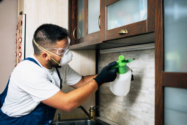 Best Best Pest Control Companies  in Lynbrook, NY