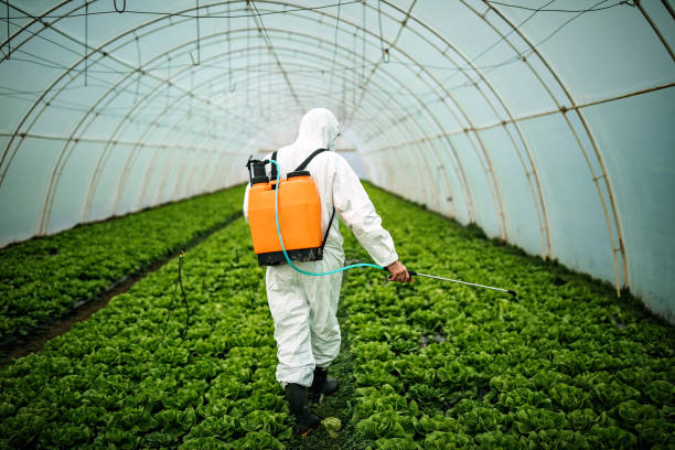 Best Commercial Pest Control Services  in Lynbrook, NY