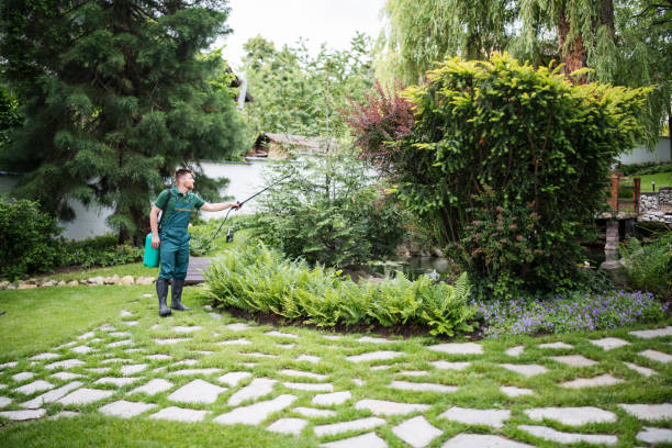 Best Pest Control Near Me  in Lynbrook, NY