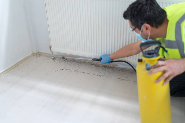 Best Pest Control Treatment  in Lynbrook, NY